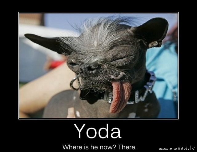 Yoda