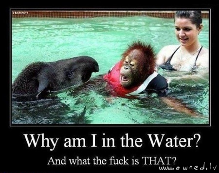 Why am I in the water ?