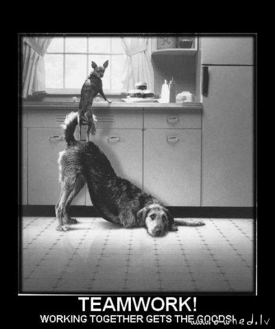 Teamwork