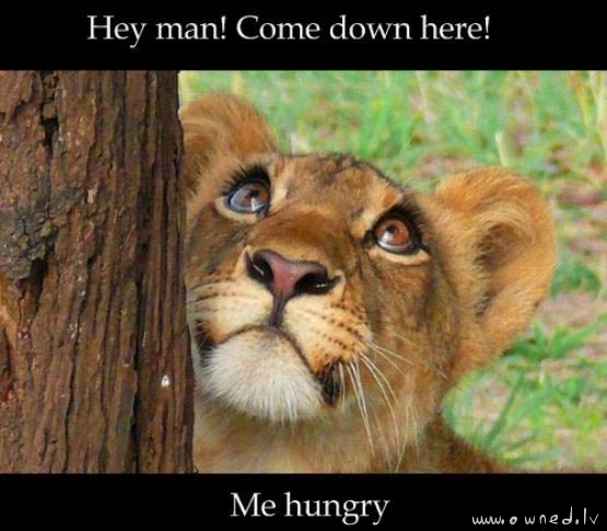 Come down here