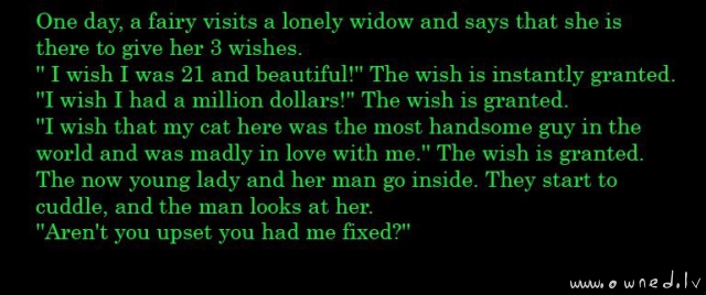 3 wishes