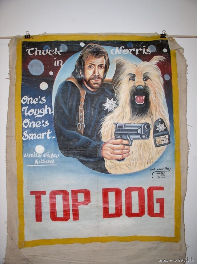 Chuck Norris movie poster