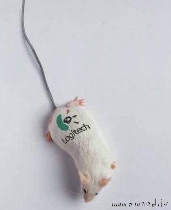 Organic PC mouse