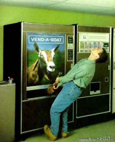 Vend a goat