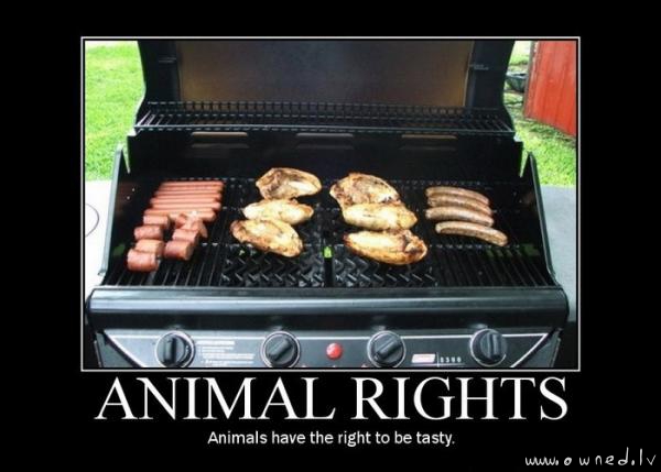 Animal rights