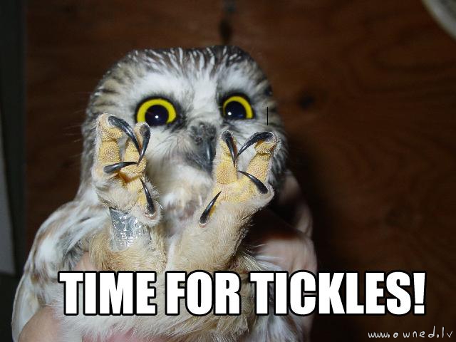 Time for tickles !