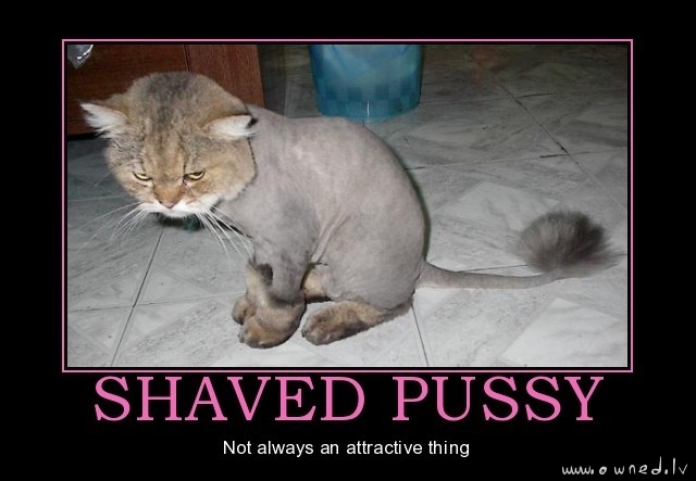 Shaved pussy