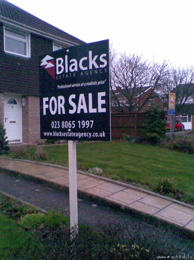 Blacks for sale