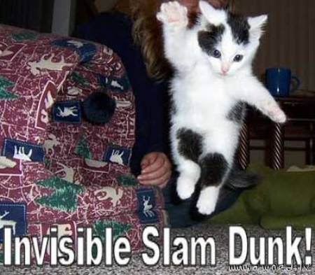 Invisible slam dunk