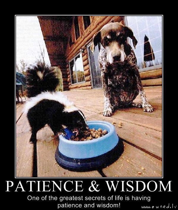 Patience and wisdom