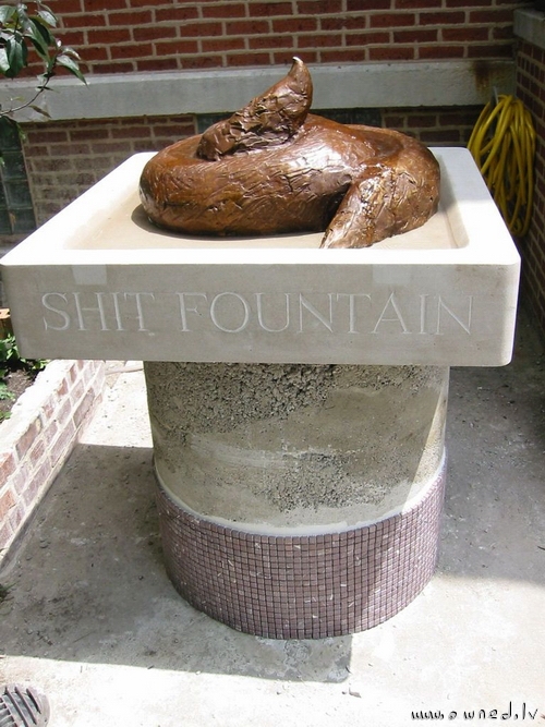 Shit fountain