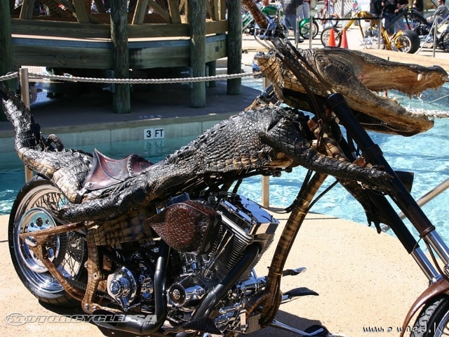 Crocodile bike