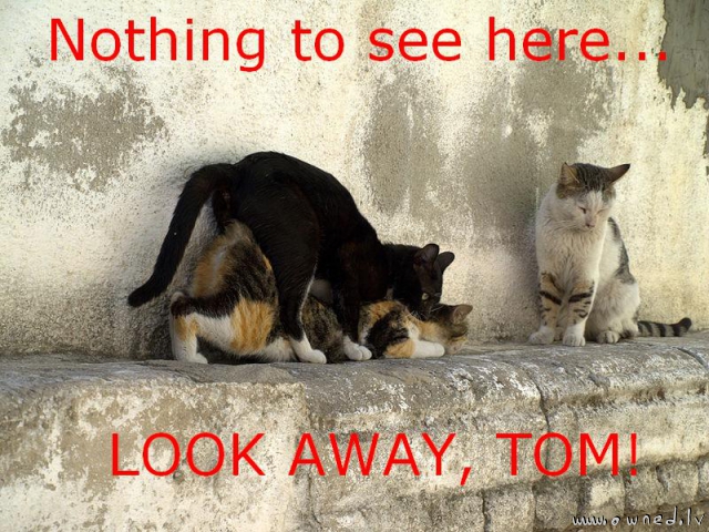Look away Tom