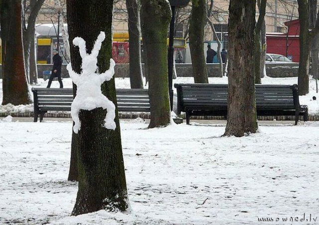 Snow rabbit