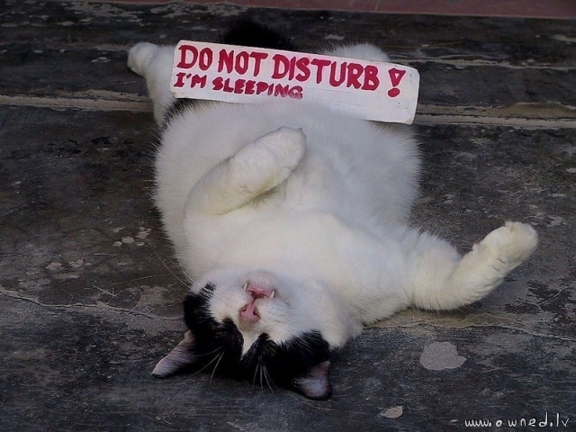 Do not disturb I am sleeping