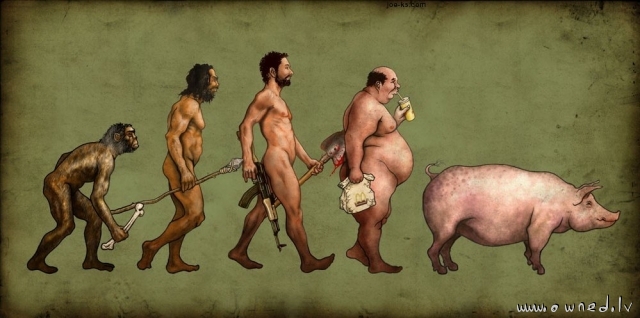 Human evolution