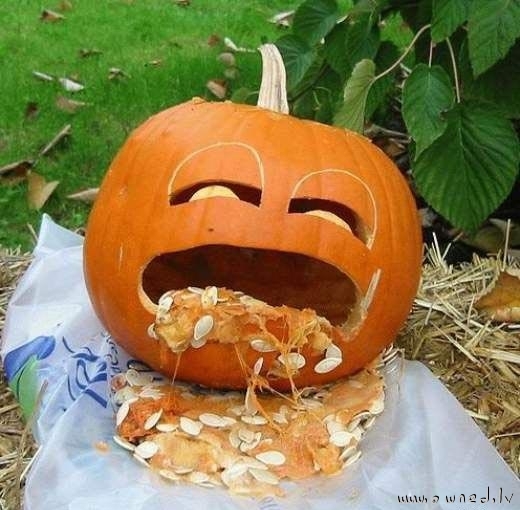 Pumpkin with a hangover