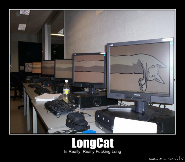 Longcat