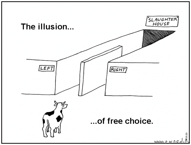 The illusion of free choice