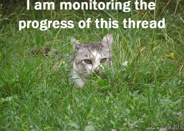 Im monitoring