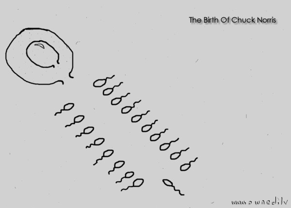 The birth of Chuck Norris