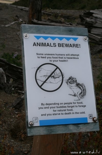 Animals beware