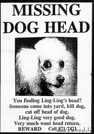Missing dog head