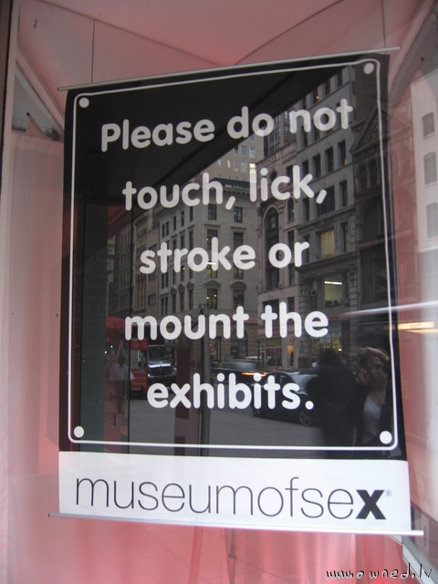 Museum of sex