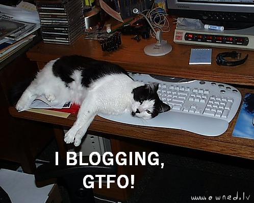 I am blogging ... Leave me alone