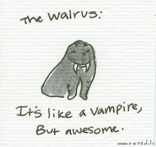 The walrus