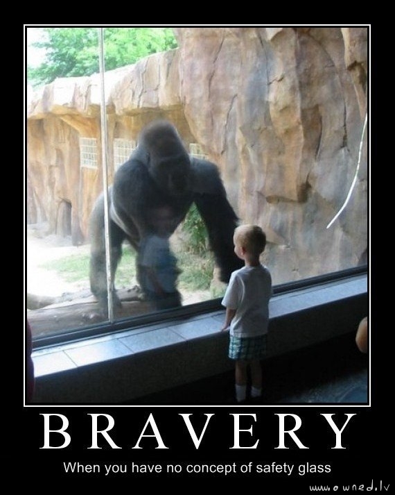 Bravery