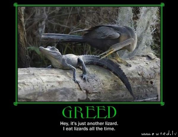 Greed