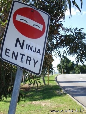 Ninja entry