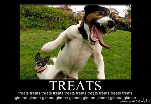 Treats