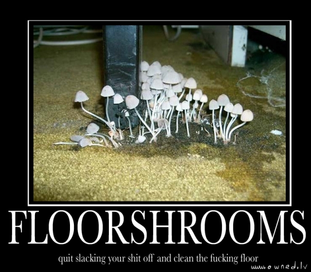 Floorshrooms