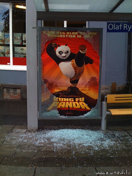 Kung fu panda