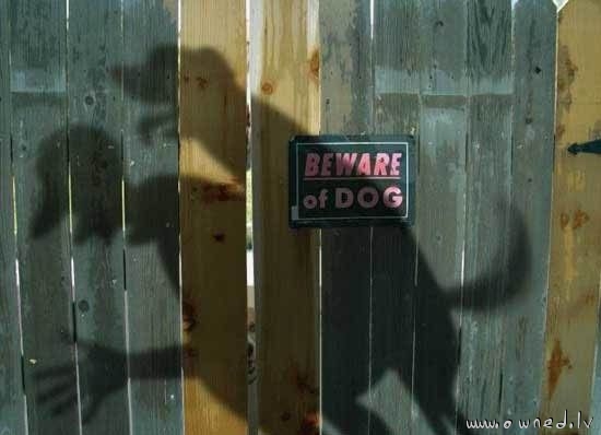 Beware of dog