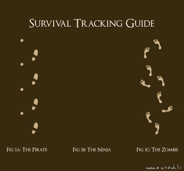 Survival tracking guide