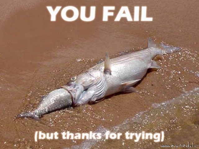 You fail