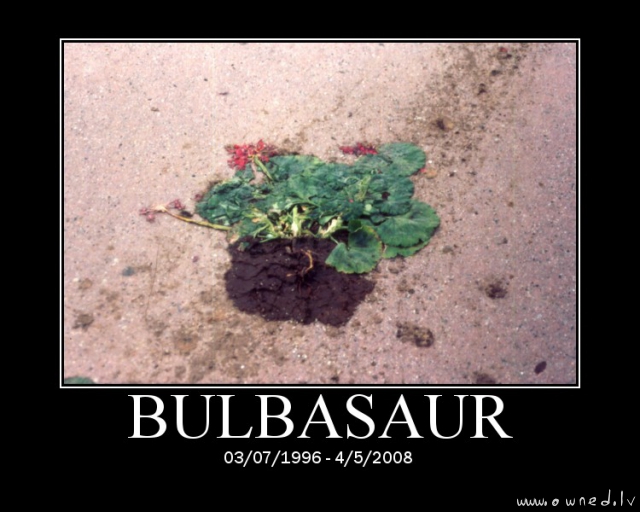 Bulbasaur