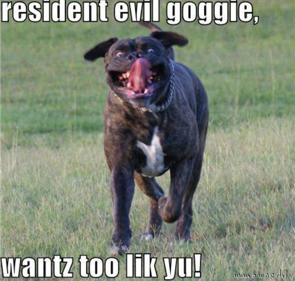 Resident evil dog