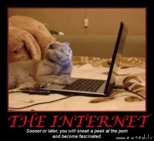 The Internet