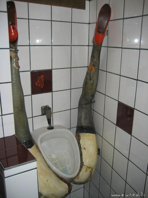 Funny toilet