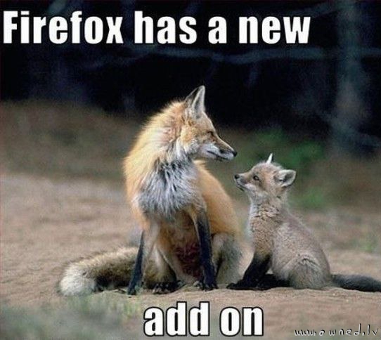 Firefox has new add on