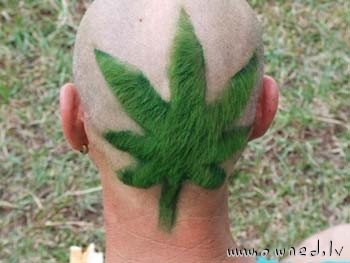 Weed haircut