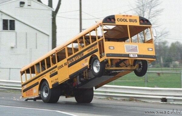 Cool bus