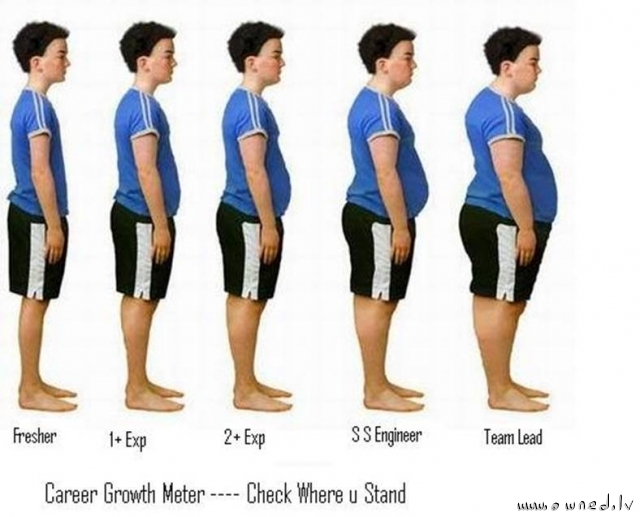 Career growth meter