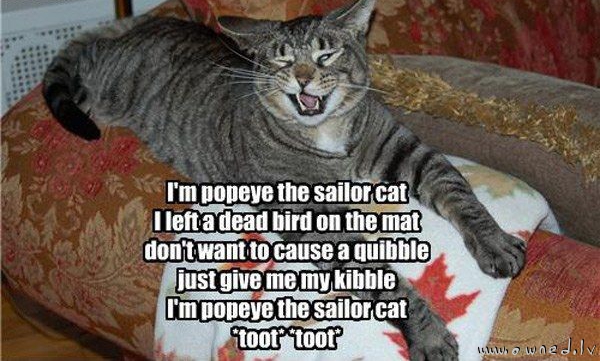 Popeye the sailor cat