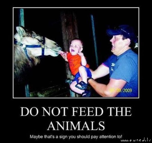 Do not feed the animals