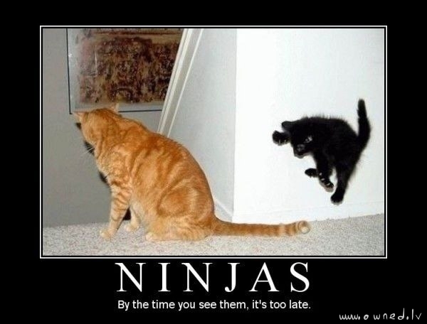 Ninjas